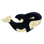 orca-whale-pichenotte